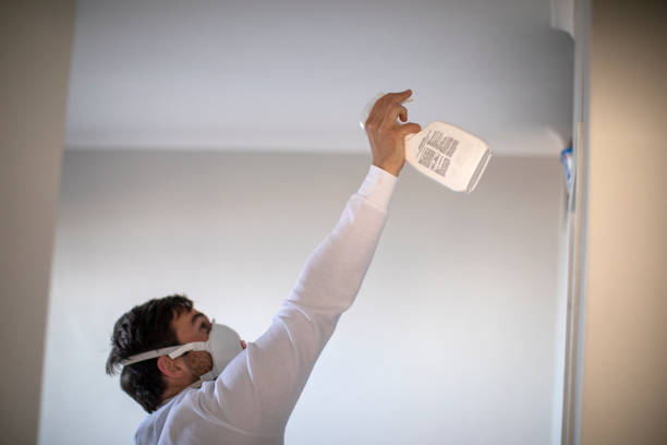 Best Attic Mold Removal  in Panora, IA
